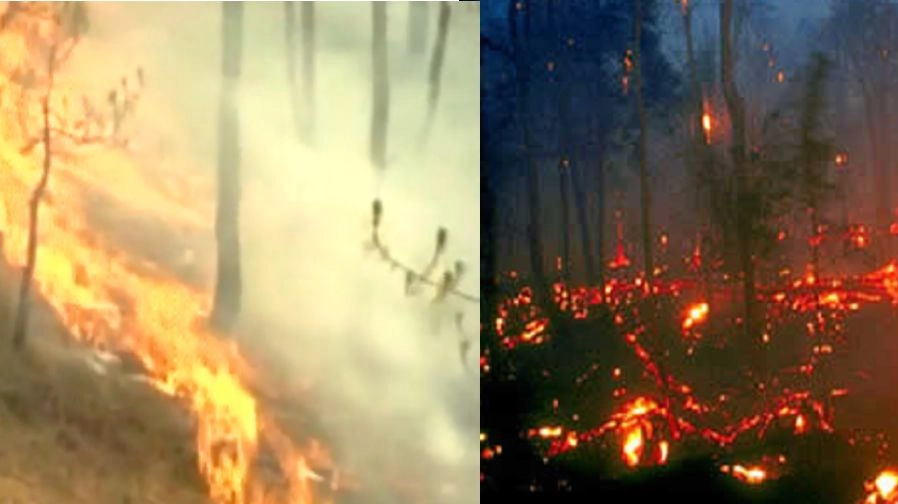 उत्तराखंड के बाद हिमाचल और जम्मू-कश्मीर के जंगलों में भीषण आग - Himachal, Jammu and Kashmir fire