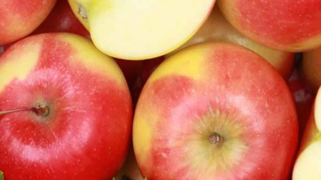 apple | जम्मू कश्मीर में बहने लगी शांति की बयार, सेना की निगरानी में सेब से भरे 700 ट्रक रवाना