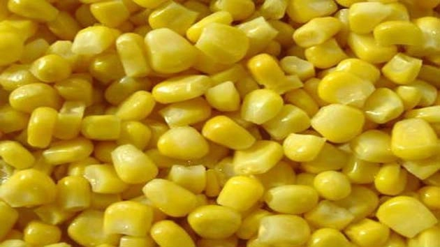 #Corn Benefit कॉर्न से कीजिए कोलेस्ट्रॉल कम, और पाएं 10 फायदे