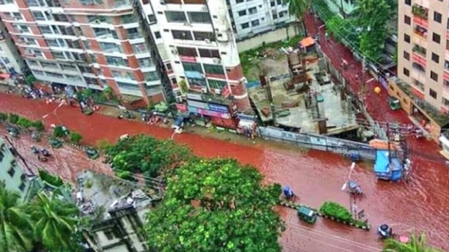 बकरीद पर बांग्लादेश में सड़कों पर बहा खून मिला पानी
