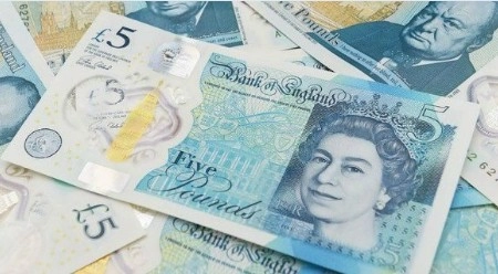 ब्रिटेन में पशुओं की चर्बी से बने नोट पर बवाल - Britain's New £5 Note contains meat
