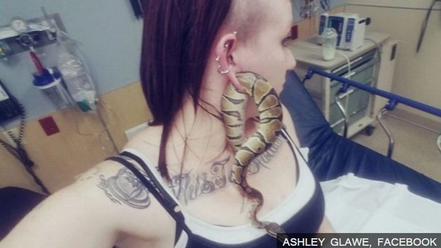 महिला के कान के छेद में फँस गया सांप - snake in ears hole
