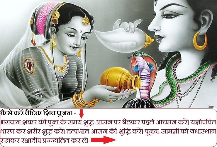 घर पर कैसे करें महाशिवरात्रि का पूजन, जानें सरलतम विधि - Mahashivratri puja In Hindi