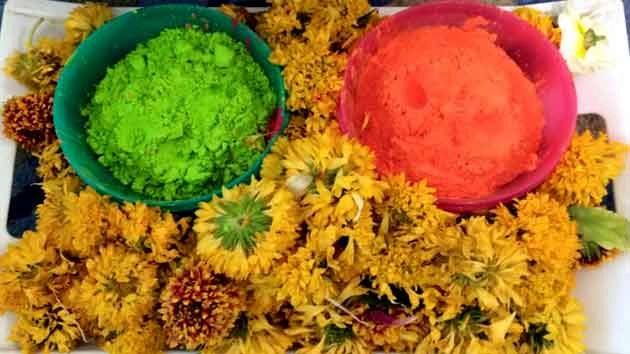 हिन्दी कविता : रंगों की होली