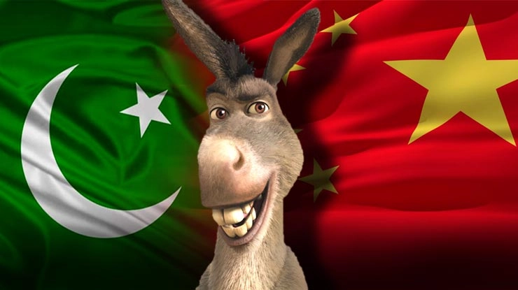 चीन को पसंद आए 'पाकिस्तानी गधे', फिरेंगे दिन... - Pakistani asses