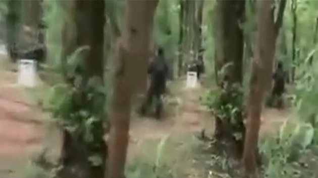 छत्तीसगढ़ में पुलिस ने 8 नक्सली पकड़े - 8 maoists arrested in Chhatisgarh