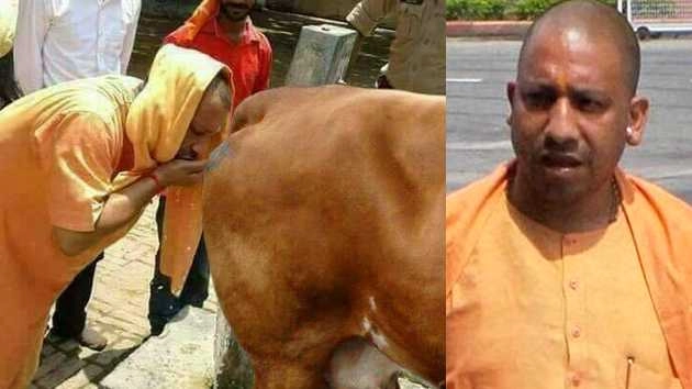 वाइरल हुआ गोमूत्र पीते हुए सीएम योगी का फोटो, जानिए क्या है सच... - Truth of yogi adityanath viral photo drinking cow urine