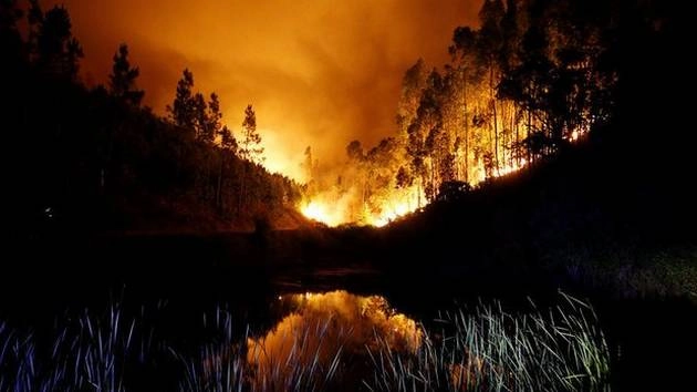 कश्मीर के जंगल में भीषण आग, सैकड़ों पेड़ जलकर राख - fire in Kashmir forest