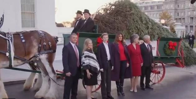 मेलानिया ट्रंप ने स्वीकार किया व्हाइट हाउस क्रिसमस ट्री - Melania Trump white house Christmas tree