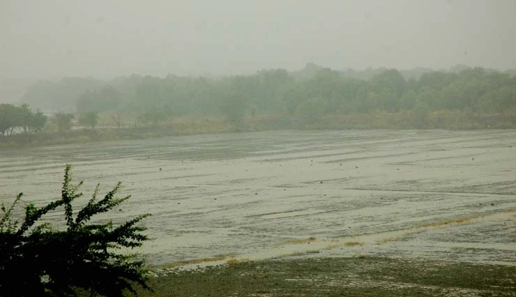 मौसम अपडेट : ओडिशा में भारी बारिश होने की संभावना