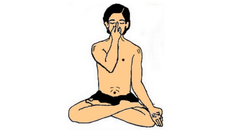 anulom vilom pranayama yog | अनुलोम-विलोम प्राणायाम