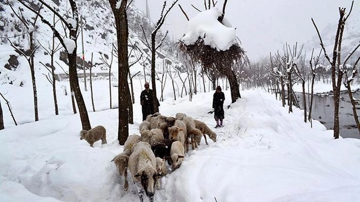 कश्मीर में फिर हिमपात, साधना टॉप और फिरकियान दर्रा बंद - Snowfall in Kashmir
