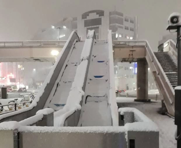 टोक्यो में भारी बर्फबारी, 180 लोग घायल - Heavy snowfall in japan
