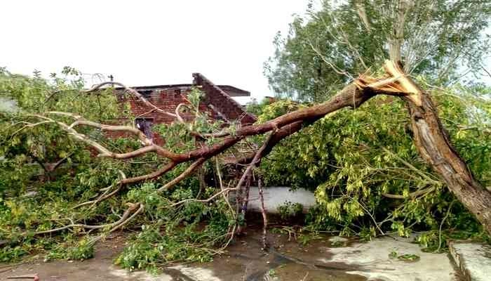 UP Weather Updates: जोरदार आंधी-तूफान से उखड़े पेड़ और बिजली के खंभे, जनजीवन हुआ प्रभावित