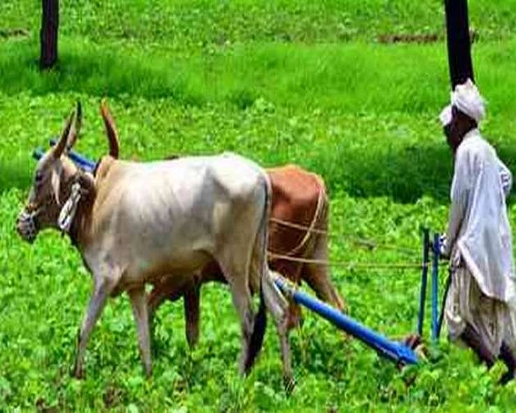 बजेट 2021: शेतीतल्या तरतुदींमुळे महाराष्ट्रातील शेतकरी श्रीमंत होईल का?
