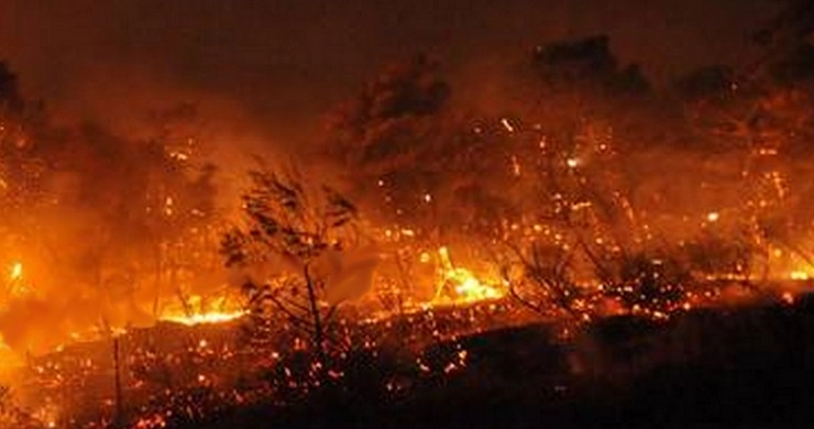ग्रीस के जंगलों में भीषण आग, कम से कम 74 लोगों की मौत