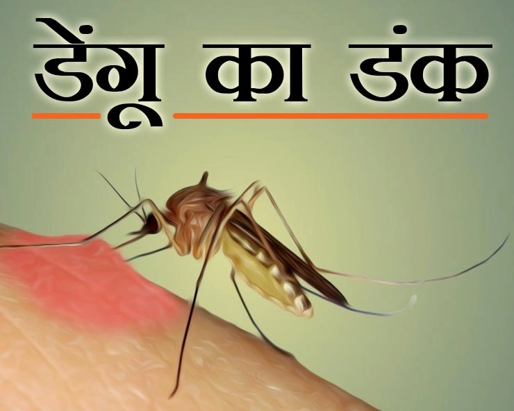 मध्यप्रदेश में डेंगू का कहर! भोपाल, इंदौर, ग्वालियर में लगातार बढ़ रहे केस, बुधवार को प्रदेशव्यापी महाअभियान - Dungu havoc in Madhya Pradesh