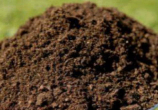 मिट्टी से ही भर सकते हैं जख्म, नहीं होता बीमारियों का खतरा - Soil Wounds America, Arizona State University