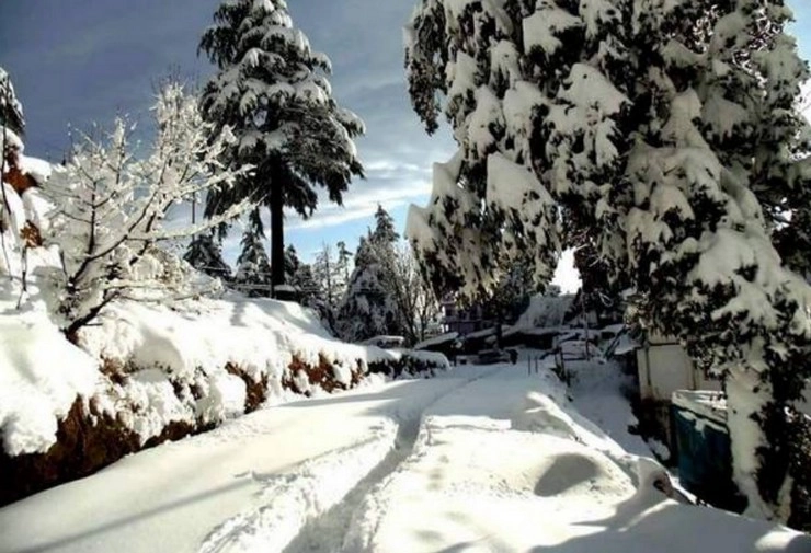 श्रीनगर में भारी हिमपात और बर्फबारी, हवाई यातायात स्थगित, बर्फ से भरा रनवे