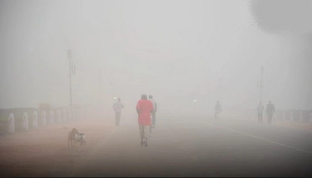 weather update- ઉત્તર ભારત, બર્ફીલા પવનને કારણે ધુમ્મસને કારણે માર્ગ અકસ્માતમાં 8 ના મોત