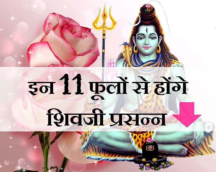 11 शुभ फूल जिनसे भगवान शिव होते हैं इतने प्रसन्न कि देते हैं अपार धन, संपदा और सफलता का वरदान