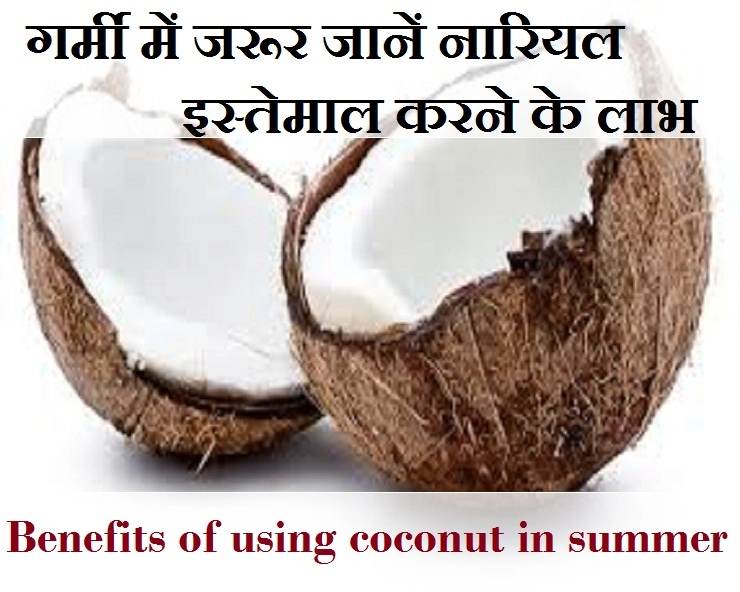 कहर ढाती गर्मी के असर को कम करना हैं, तो करें नारियल का इस्तेमाल