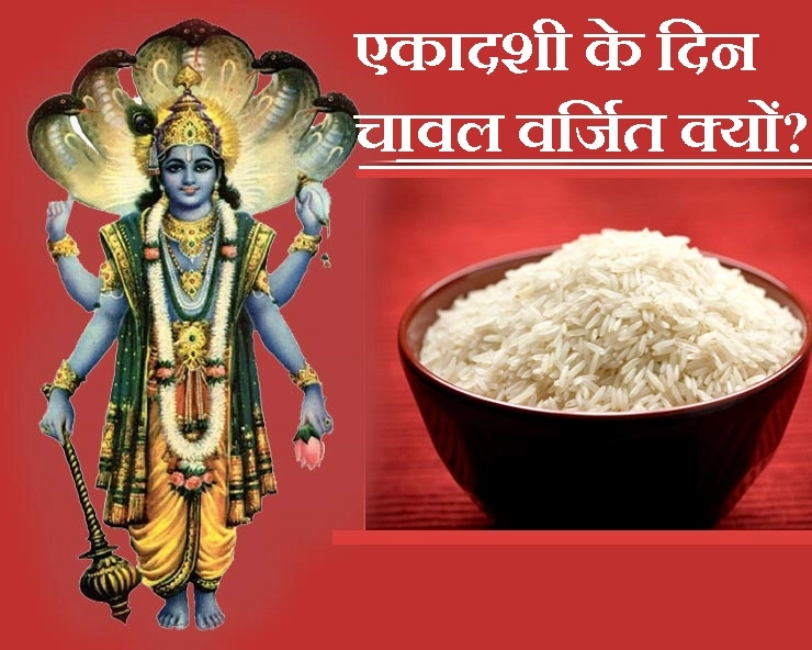 एकादशी के दिन क्यों नहीं खाते हैं चावल? - Rice and ekadashi
