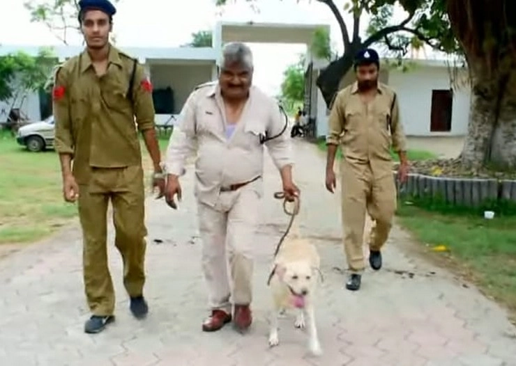 युवाओं का अनूठा प्रयोग, जीरो बजट की शॉर्ट फिल्म 'मंत्रीजी का कुत्ता' - zero budget movie made by hoshangabad Youngsters