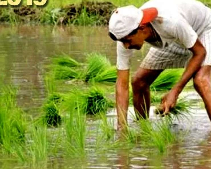 PMKMY : 3000 रुपए की पेंशन के लिए 15 अगस्त तक 2 करोड़ किसानों को जोड़ने का लक्ष्य, ऐसे ले सकते हैं लाभ - pradhan mantri kisan samman nidhi yojana