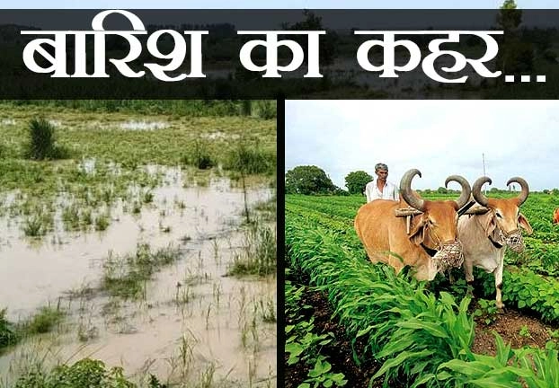 उप्र में बेमौसम बारिश किसानों के लिए बनी मुसीबत, आलू-सरसों की फसलों को पहुंचा नुकसान - Unseasonal rain in Uttar Pradesh