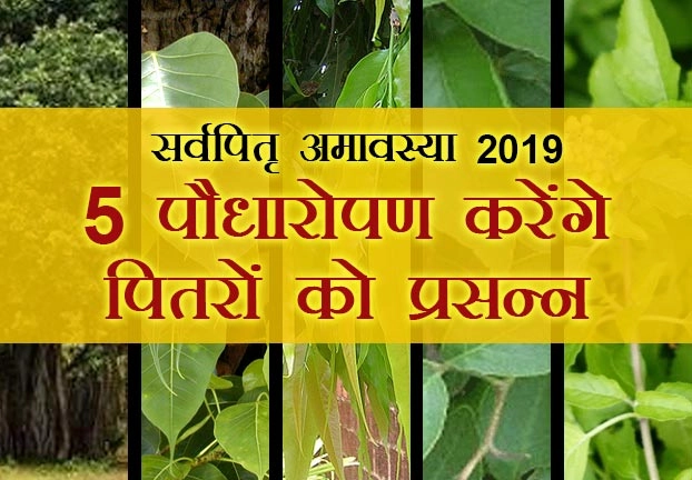 सर्वपितृ अमावस्या 2019 : पितरों की शांति के लिए लगाएं ये 5 पेड़, धन-संपदा का लग जाएगा ढेर - sarva pitru amavasya 28 sept 2019 Upay