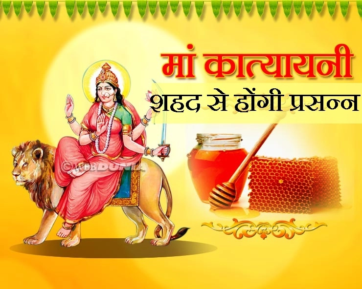 katyayani maa : आज मां कात्यायनी इस प्रसाद से होंगी बहुत खुश, देंगी सुंदरता और आकर्षण का वरदान - Todays Goddess Katyayani Prasad Honey
