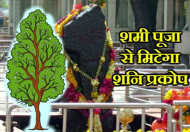 Shami Plant: क्यों करते हैं शमी वृक्ष की पूजा, जानें इसका धार्मिक महत्व और पूजा विधि - Shami tree worship