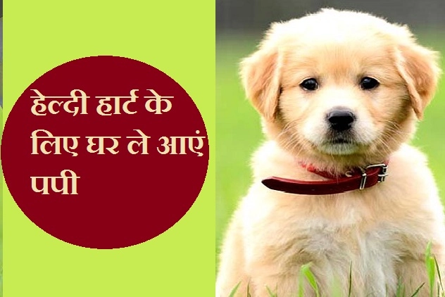 Dog for healthy heart : दिल की अच्छी सेहत के लिए कुत्ता पालें - Bring home a dog for healthy heart