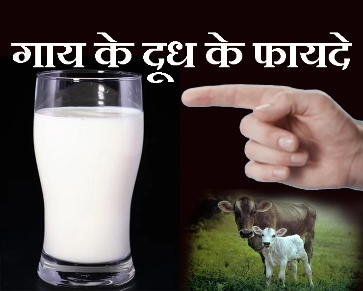 Health Care : गाय के दूध से होते हैं 10 बेशकीमती लाभ, जरूर जानें - cow milk banefit in hindi