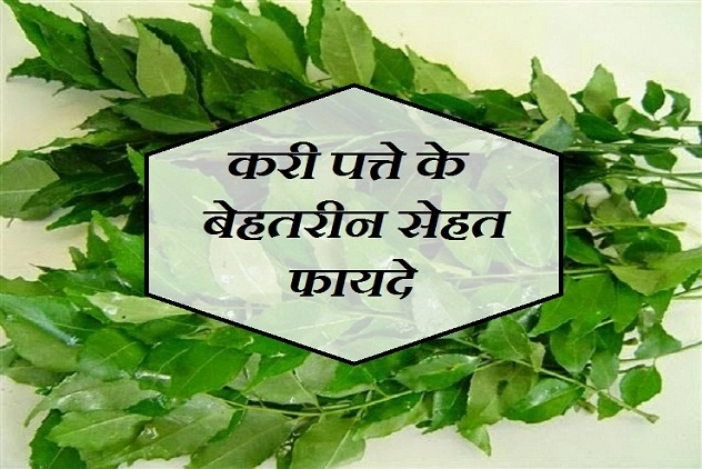 लिवर की कमजोरी हो या त्वचा का इंफेक्शन, करी पत्ते के सेवन से मिलेगी राहत - benefits of curry leaves in hindi