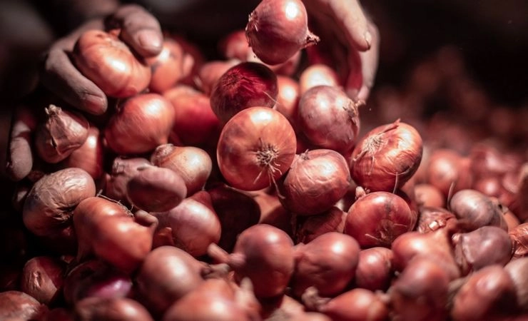 onion | सरकार ने प्याज के निर्यात पर लगी रोक हटाई