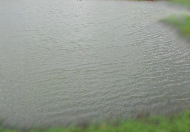 गुजरात में सेल्फी के चक्कर में तालाब में 4 डूबे, 3 लोगों की मौत - 3 people died due to drowning in a pond in Gujarat