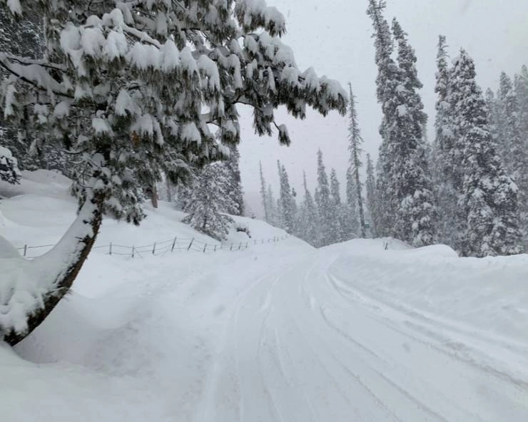 गुलमर्ग में बर्फीला तूफान, स्की कर रहे विदेशी नागरिक की मौत - snow avalanche in gulmarg