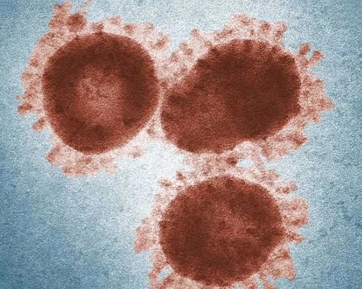 Corona virus से चीन में अब तक 636 लोगों की मौत, जापान को सता रहा है संक्रमण का डर
