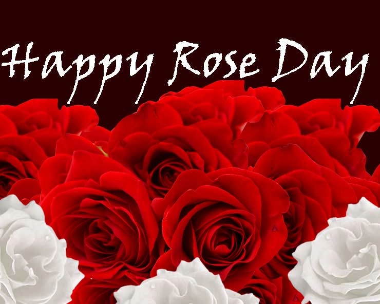 Happy Rose Day - रोज डे पर गुलाब के रंगों से पहचानें फीलिंग, हर रंग का होता है अलग मतलब - happy rose day