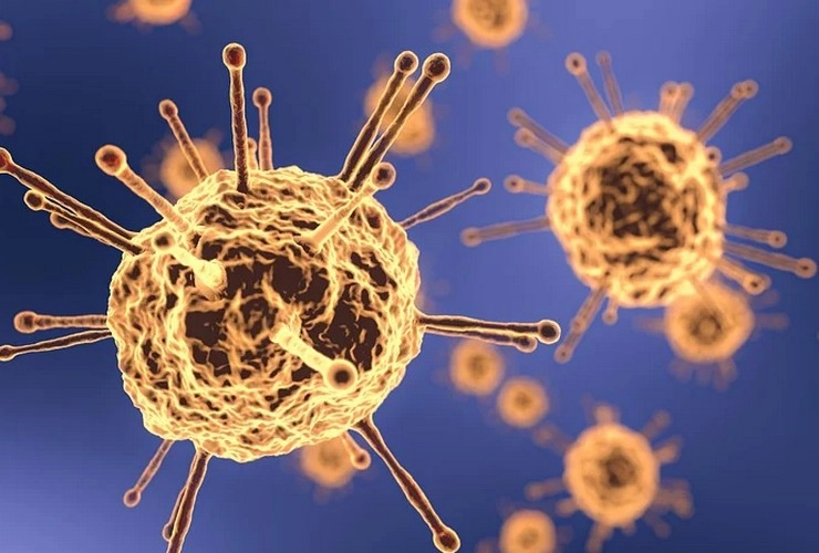 भारत में Corona वायरस के तीन स्वरूप, क्या हो रहा है म्यूटेशन... - Three forms of Corona virus in India