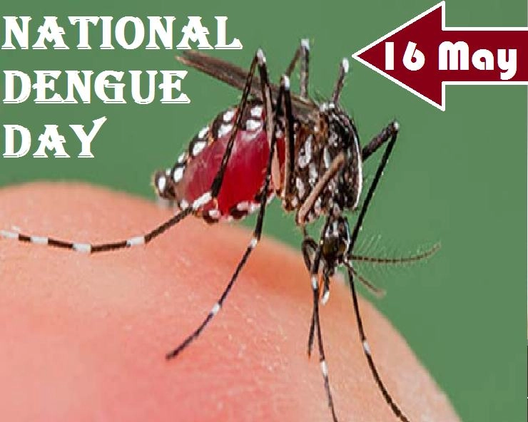 National Dengue Day 2020 : 16 मई को राष्ट्रीय डेंगू दिवस, अपनाएं ये खास 5 उपाय - National Dengue Day 16th May