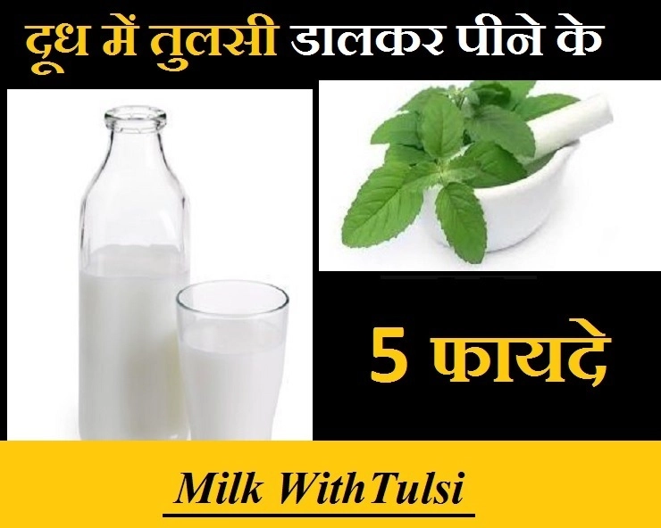Benefit Of Milk With Basil : जानिए दूध में तुलसी डालकर पीने के सेहत लाभ