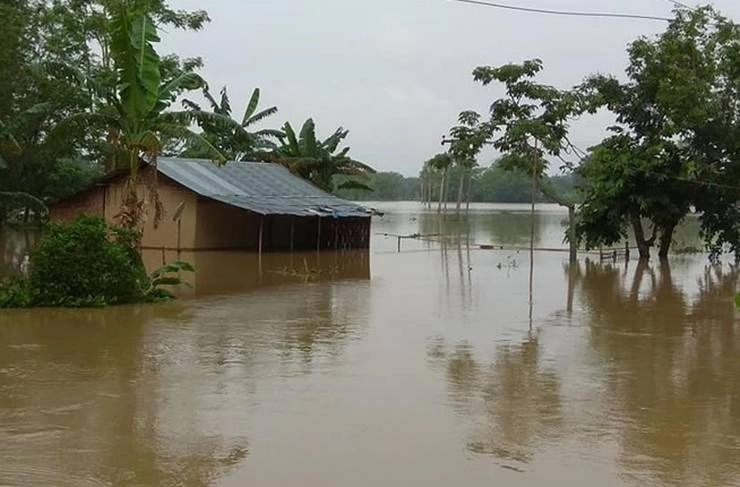 असम के 20 जिलों में बाढ़ से तबाही, 1,109 गांव जलमग्न, 46,082 हेक्टेयर क्षेत्र में फसल डूबी - Assam flood