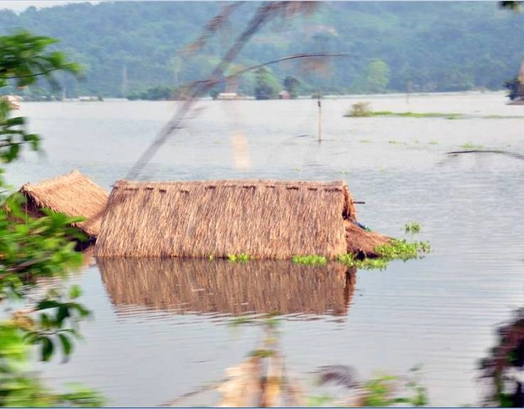 असम में बाढ़ से भयावह हालात, 2,525 गांव जलमग्न, 26 जिलों के 26 लाख लोग प्रभावित, अब तक 115 की मौत - Dangerous situation due to floods in Assam