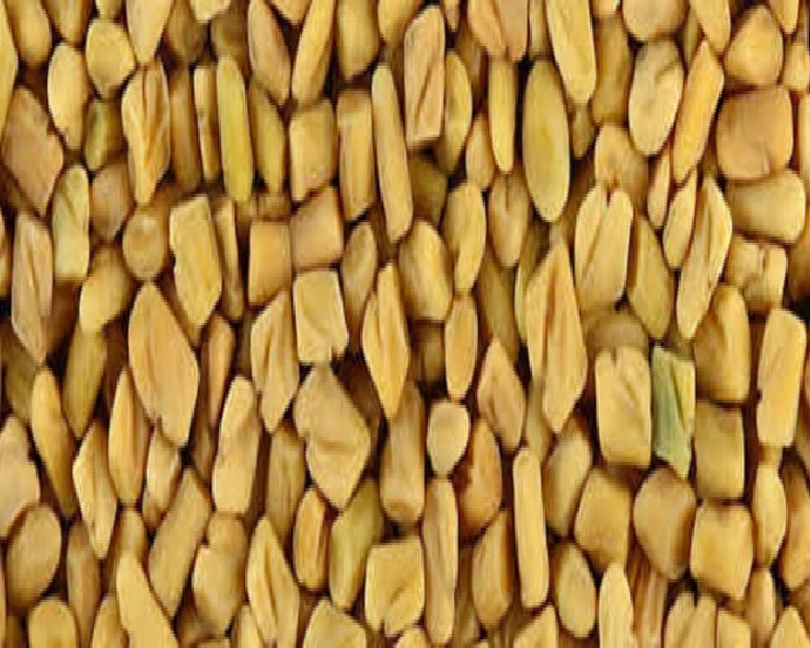 Benefits Of Fenugreek Seeds : जानिए मैथीदाने के 5 गजब के फायदे - benefits of fenugreek seeds