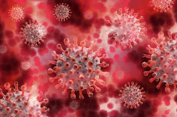Corona वैक्सीन को लेकर अच्छी खबर, कंपनी का दावा, तैयार किया वायरस खत्म करने वाला मलहम - us fda approved ointment found to treat kill viral infections including covid-19