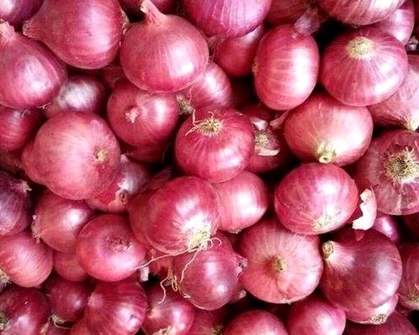 महाराष्ट्र के अहमदनगर में रोकी गई प्याज की नीलामी आखिर केंद्र सरकार से क्यों नाराज हैं किसान - farmers in ahmednagar stop onion auction at wholesale market to protest imposition of 40 pc duty on exports