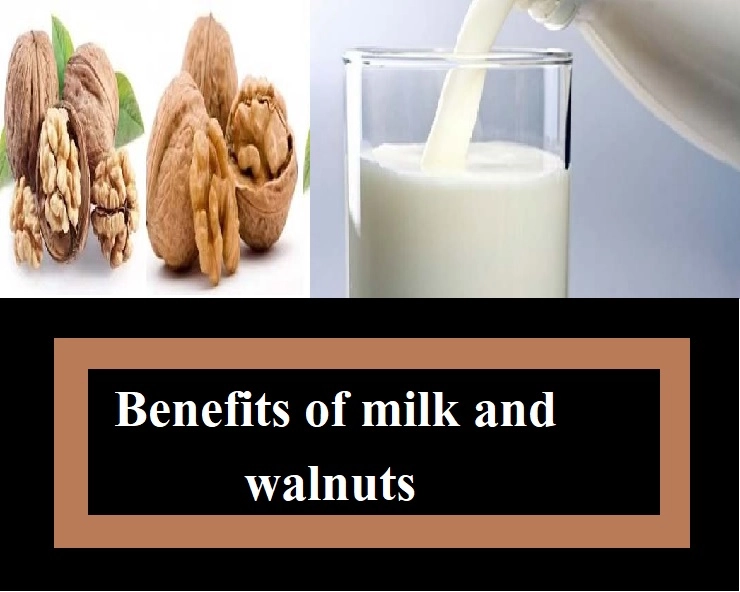 Benefits of milk and walnuts : दूध के साथ अखरोट खाने से मिलते हैं कई सेहत लाभ, जानिए फायदे - Health Care Tips